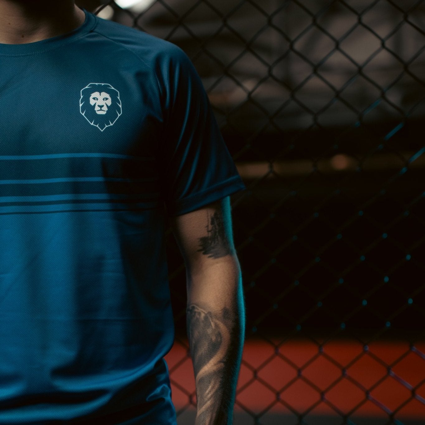 Gradient T-Shirt - Animalia Apparel