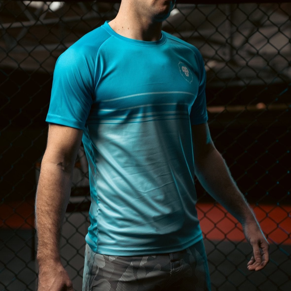 Gradient T-Shirt - Animalia Apparel