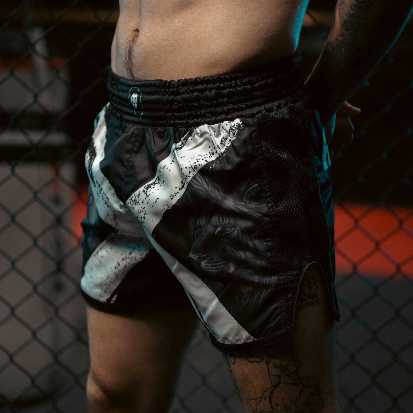 Scotland Muay Thai Shorts - Animalia Apparel