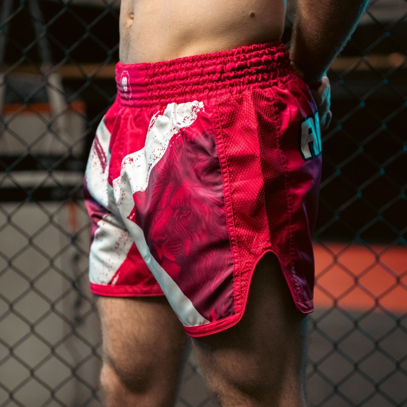 Scotland Muay Thai Shorts - Animalia Apparel