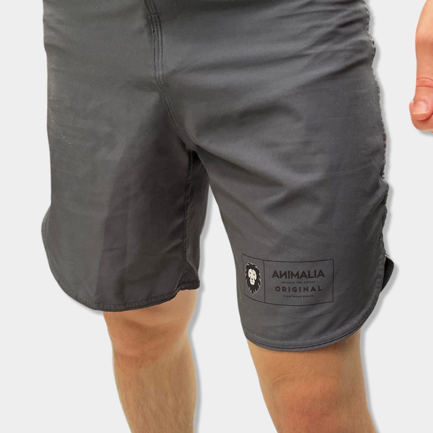 Animalia Apparel MMA Lightweight shorts