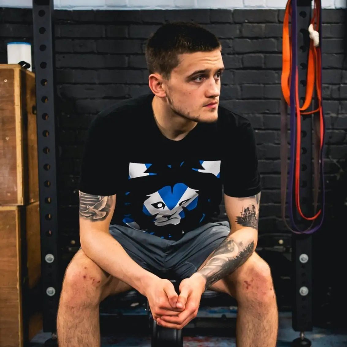 Animalia Apparels : Origin, Mission and Vision - Animalia Apparel