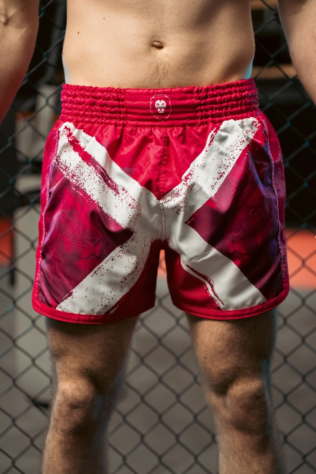 MMA and Muay Thai Shorts - Animalia Apparel