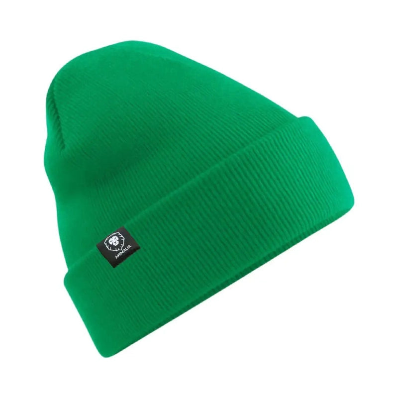Vibrant green ribbed knit beanie with vertical rib pattern and lion logo tag