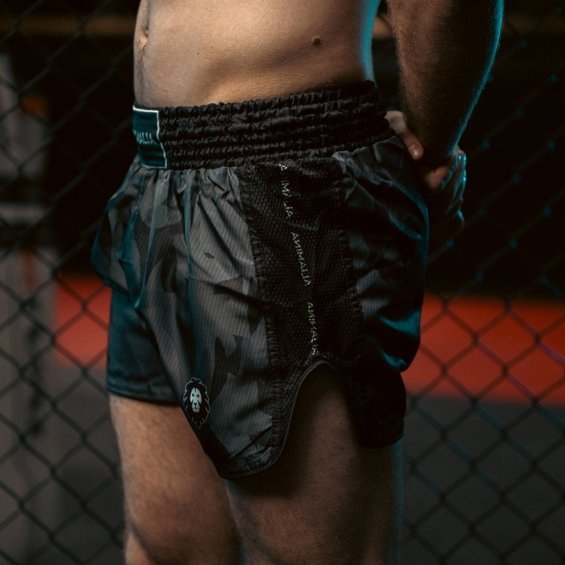 Camo Muay Thai Shorts - Animalia Apparel