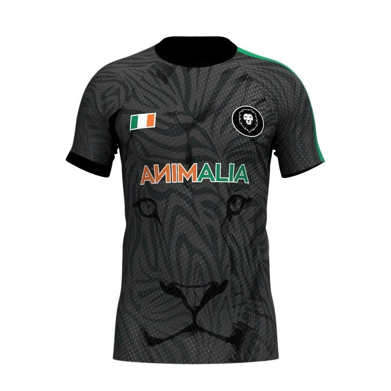 Kids Ireland Home Nations Sports T-shirt dark gray with lion silhouette and Irish flag
