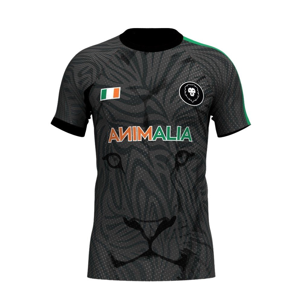 Kids Ireland Home Nations Sports T-shirt - Animalia Apparel