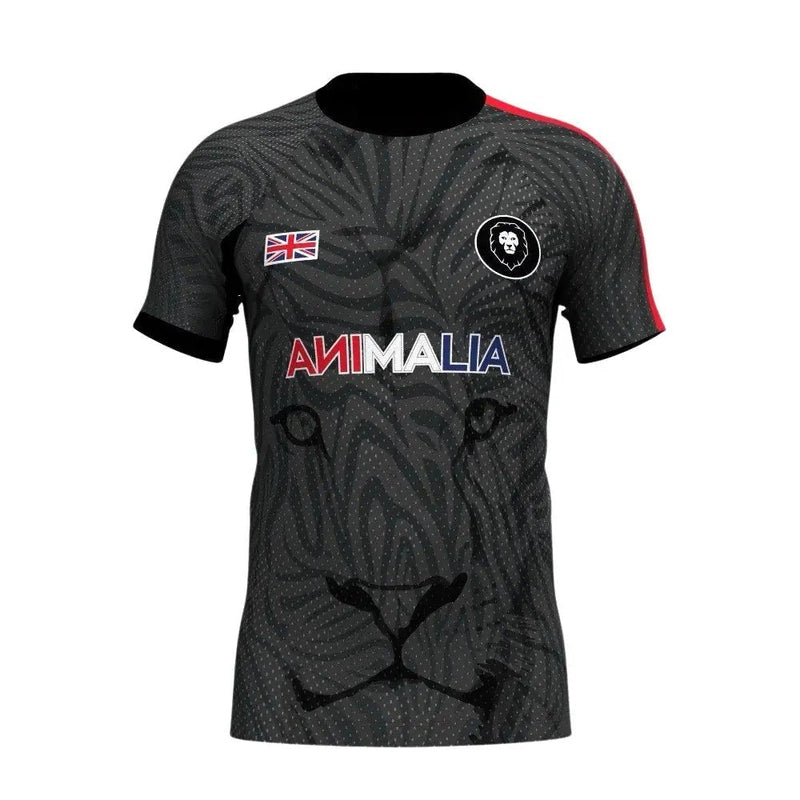 Kids UK Home Nations Sports T-shirt dark gray with Union Jack patch and lion graphic