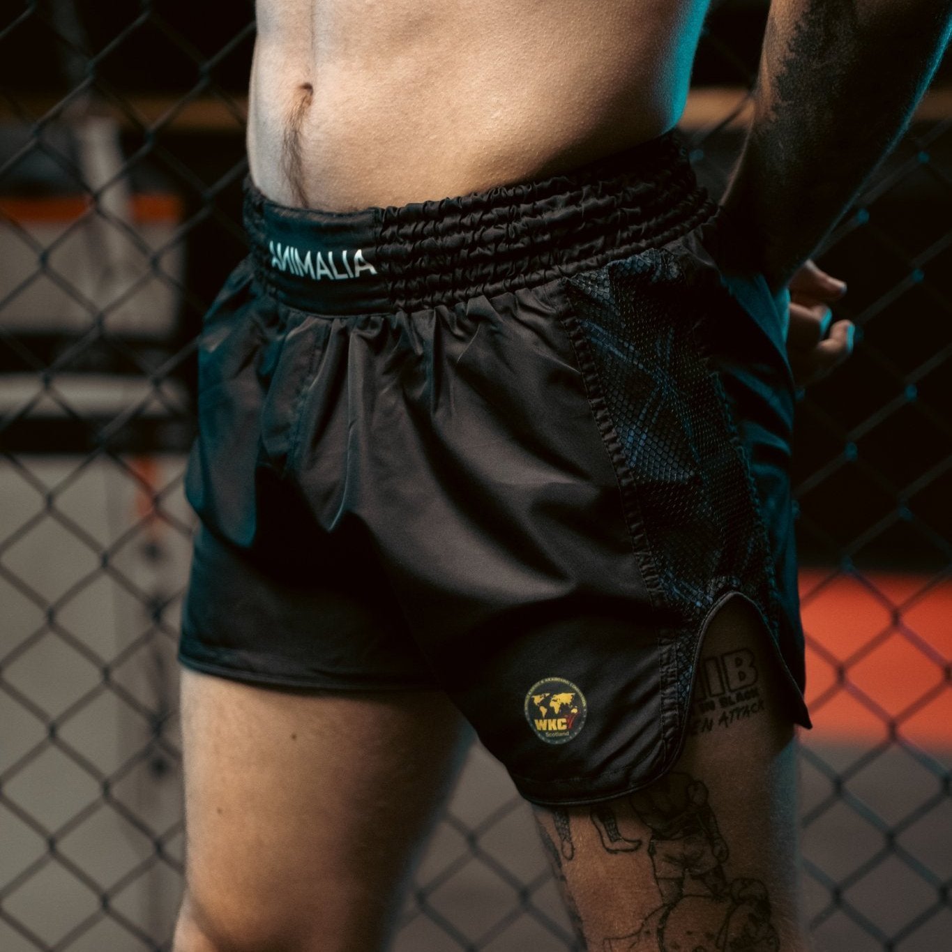 Kids WKC Muay Thai Shorts - Animalia Apparel