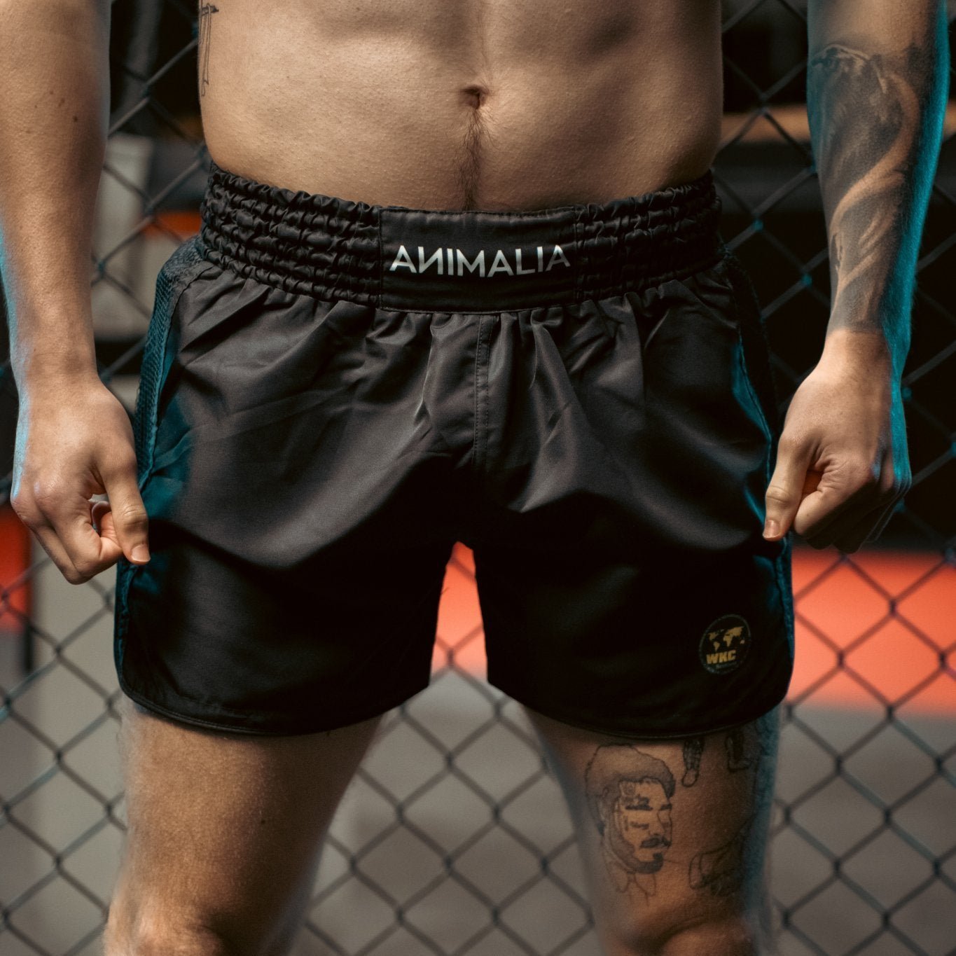 Kids WKC Muay Thai Shorts - Animalia Apparel