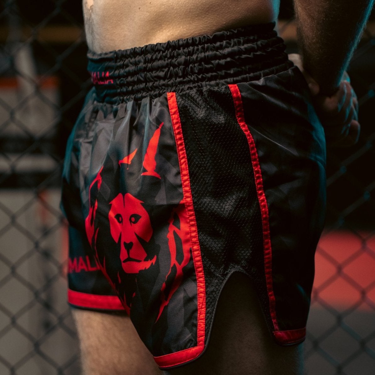 Red Claw Muay Thai Shorts - Animalia Apparel